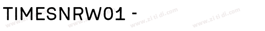 TimesNRW01 字体转换